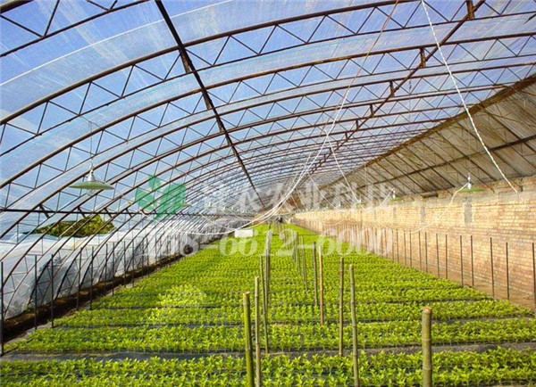 5e748aa8c8ed7.jpg 5d00924757e66.jpg