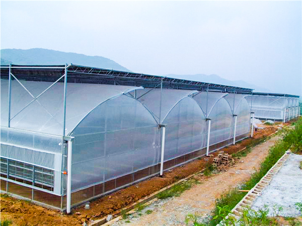 60dbc28bd388b.jpg 5f60348e6db78.jpg