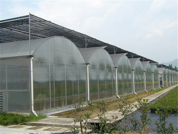 60dbc29a97457.jpg 2.jpg