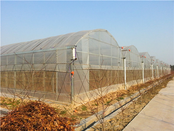 60ee445bd8d8c.jpg 5f603481b0308.jpg