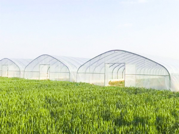 60ef8f9ccec54.jpg 5f603599e27d3.jpg